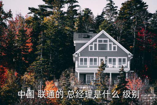 中國 聯(lián)通的 總經(jīng)理是什么 級(jí)別