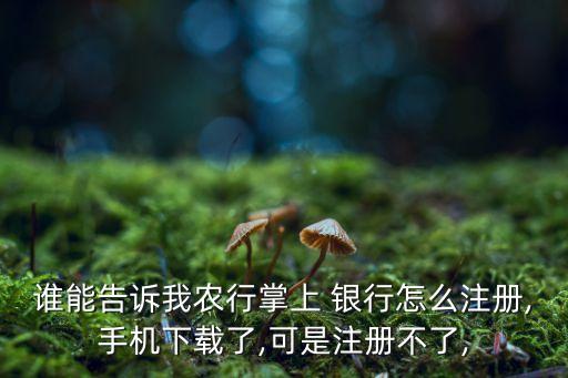 誰(shuí)能告訴我農(nóng)行掌上 銀行怎么注冊(cè),手機(jī)下載了,可是注冊(cè)不了,