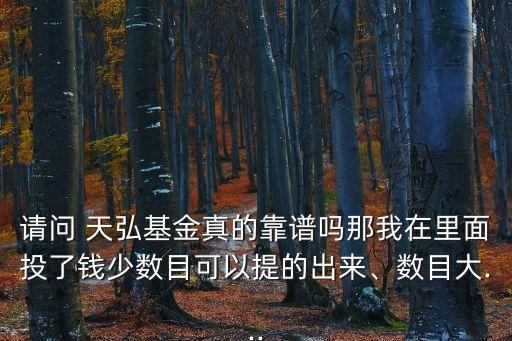 請(qǐng)問 天弘基金真的靠譜嗎那我在里面投了錢少數(shù)目可以提的出來、數(shù)目大...