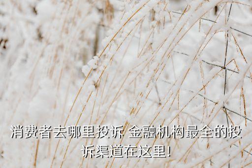 北京市金融局電話(huà),常云飛 北京市金融局