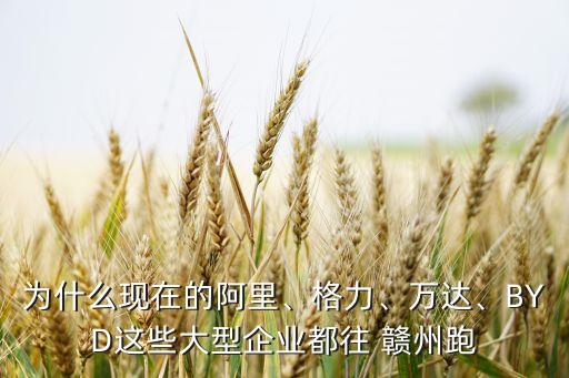 為什么現(xiàn)在的阿里、格力、萬達、BYD這些大型企業(yè)都往 贛州跑