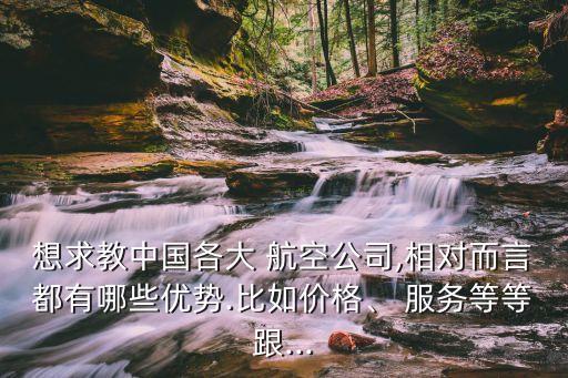 想求教中國各大 航空公司,相對而言都有哪些優(yōu)勢.比如價格、 服務(wù)等等跟...