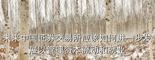 未來中國證券交易所應(yīng)該如何進一步發(fā)展以管理資本流動和就業(yè)