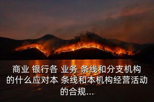 商業(yè) 銀行各 業(yè)務 條線和分支機構的什么應對本 條線和本機構經(jīng)營活動的合規(guī)...