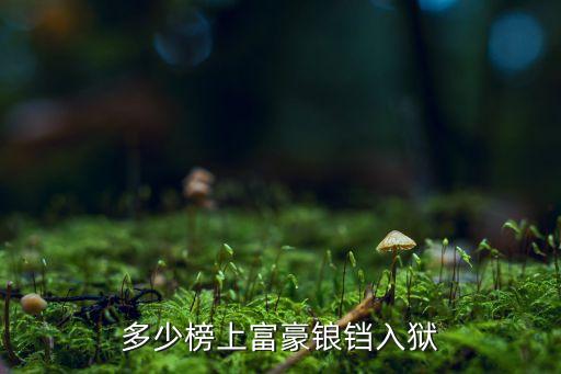 多少榜上富豪鋃鐺入獄