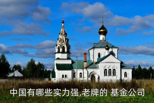 中國(guó)有哪些實(shí)力強(qiáng),老牌的 基金公司