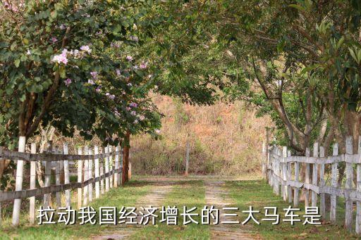 拉動(dòng)我國經(jīng)濟(jì)增長的三大馬車是