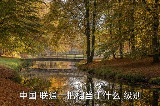 中國 聯(lián)通一把相當(dāng)于什么 級(jí)別