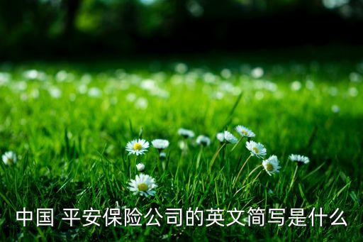 中國 平安保險(xiǎn)公司的英文簡寫是什么