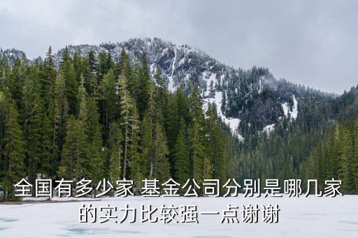 全國(guó)有多少家 基金公司分別是哪幾家的實(shí)力比較強(qiáng)一點(diǎn)謝謝