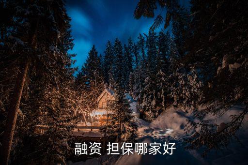 陜西中小企業(yè)融資擔保公司,邵陽市中小企業(yè)融資擔保有限責任公司