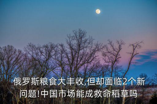  俄羅斯糧食大豐收,但卻面臨2個(gè)新問題!中國市場(chǎng)能成救命稻草嗎