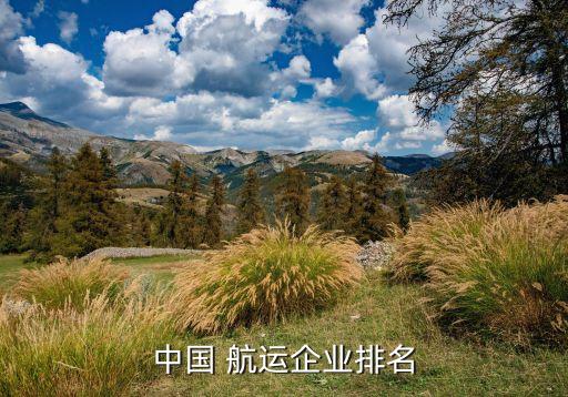 中國 航運(yùn)企業(yè)排名