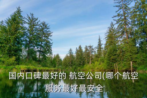 國內(nèi)口碑最好的 航空公司(哪個航空 服務(wù)最好最安全