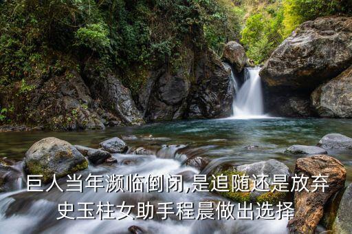 巨人公司失敗原因,公司轉賬失敗原因