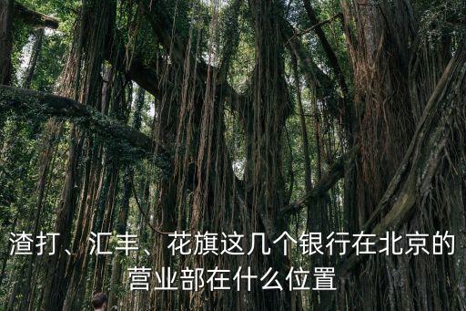 渣打、匯豐、花旗這幾個(gè)銀行在北京的營業(yè)部在什么位置