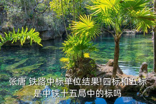張?zhí)?鐵路中標單位結(jié)果!四標和五標是中鐵十五局中的標嗎