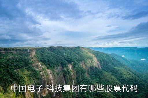 中國電子 科技集團有哪些股票代碼