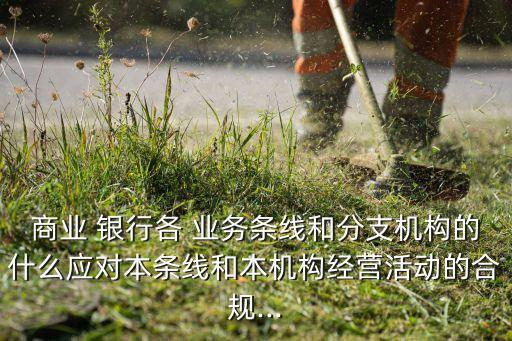 商業(yè) 銀行各 業(yè)務(wù)條線和分支機(jī)構(gòu)的什么應(yīng)對(duì)本條線和本機(jī)構(gòu)經(jīng)營(yíng)活動(dòng)的合規(guī)...