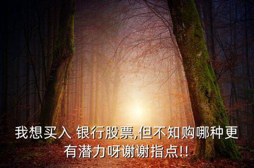 我想買(mǎi)入 銀行股票,但不知購(gòu)哪種更有潛力呀謝謝指點(diǎn)!!