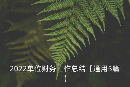 2022單位財務(wù)工作總結(jié)【通用5篇】