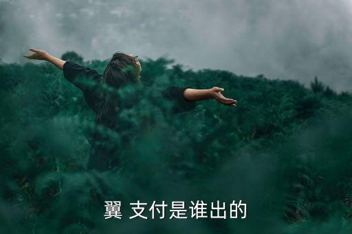 翼 支付是誰出的