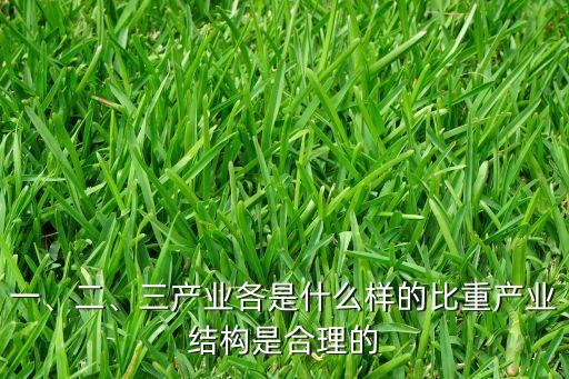 一、二、三產(chǎn)業(yè)各是什么樣的比重產(chǎn)業(yè)結(jié)構(gòu)是合理的