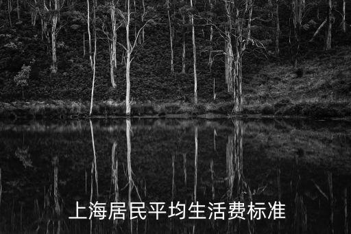  上海居民平均生活費標(biāo)準(zhǔn)