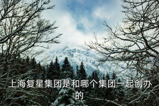  上海復(fù)星集團(tuán)是和哪個(gè)集團(tuán)一起創(chuàng)辦的