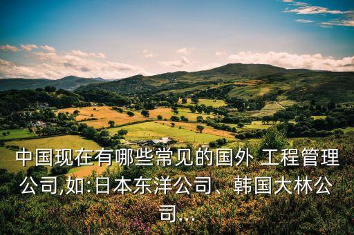 中國(guó)現(xiàn)在有哪些常見(jiàn)的國(guó)外 工程管理公司,如:日本東洋公司、韓國(guó)大林公司...