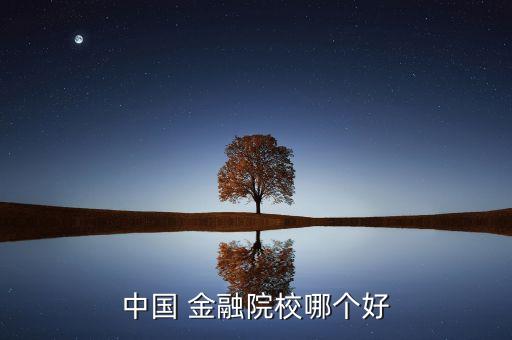 中國 金融院校哪個(gè)好