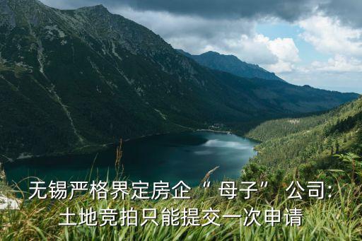 無錫嚴格界定房企“ 母子” 公司:土地競拍只能提交一次申請
