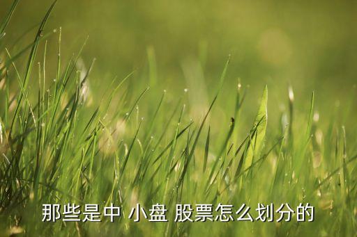 2016年優(yōu)質(zhì)小盤(pán)股票,優(yōu)質(zhì)小盤(pán)券商股票有哪些
