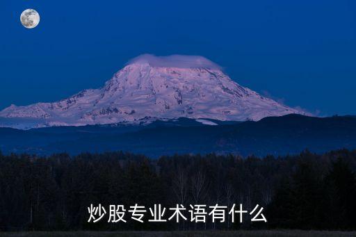 炒股專業(yè)術語有什么