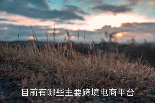 目前有哪些主要跨境電商平臺(tái)