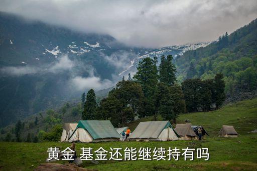 諾安收益不動產基金,余額寶的諾安天天A基金收益如何