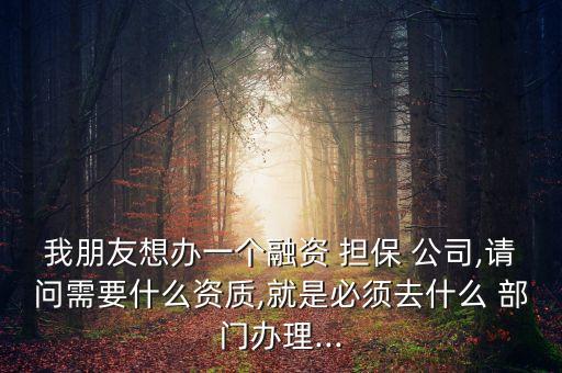 我朋友想辦一個融資 擔保 公司,請問需要什么資質(zhì),就是必須去什么 部門辦理...