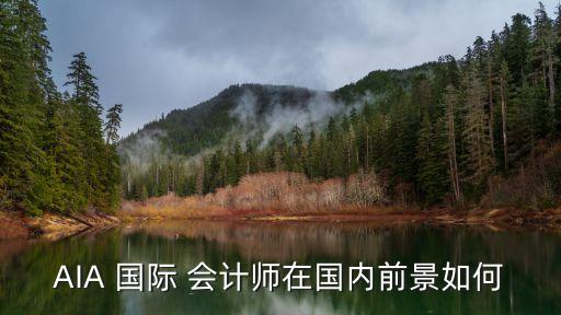 中國(guó)國(guó)際會(huì)計(jì)的進(jìn)展