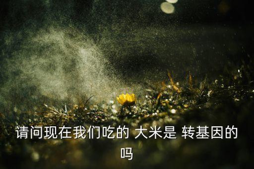 請問現(xiàn)在我們吃的 大米是 轉(zhuǎn)基因的嗎