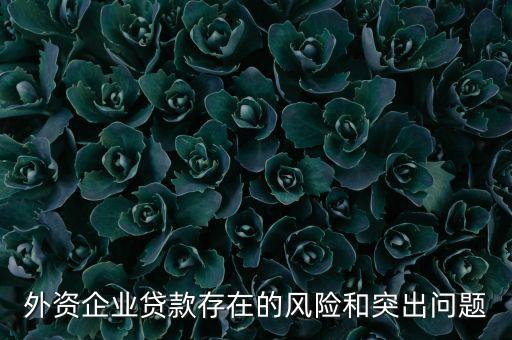 外資企業(yè)貸款存在的風(fēng)險(xiǎn)和突出問題