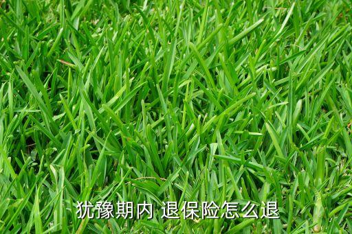  猶豫期內(nèi) 退保險怎么退