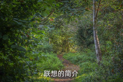 聯想集團在濟南有子公司嗎,聯想子公司和聯想集團待遇一樣嗎