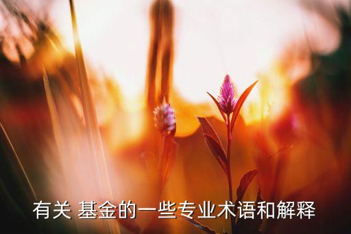 國債基金投資目標(biāo)側(cè)重于,比較股票、國債和基金的投資價值
