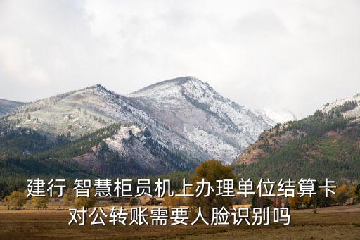  建行 智慧柜員機(jī)上辦理單位結(jié)算卡對公轉(zhuǎn)賬需要人臉識別嗎