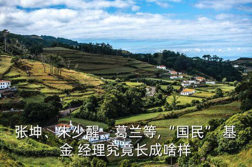 張坤、朱少醒、葛蘭等,“國(guó)民” 基金 經(jīng)理究竟長(zhǎng)成啥樣