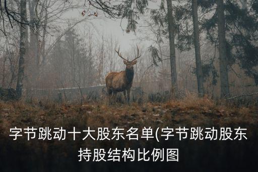 字節(jié)跳動十大股東名單(字節(jié)跳動股東持股結構比例圖