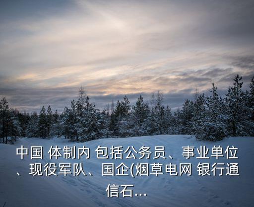 中國(guó) 體制內(nèi) 包括公務(wù)員、事業(yè)單位、現(xiàn)役軍隊(duì)、國(guó)企(煙草電網(wǎng) 銀行通信石...