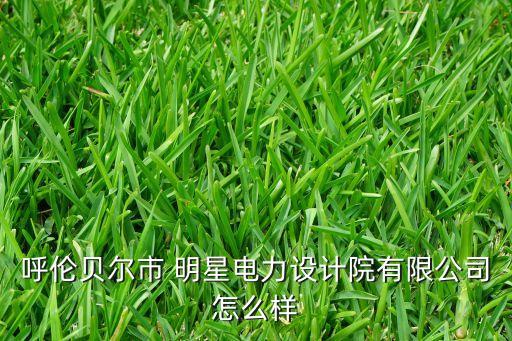 呼倫貝爾市 明星電力設計院有限公司怎么樣