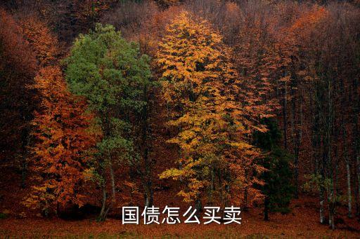 銀行儲(chǔ)蓄國(guó)債發(fā)行條件,各銀行國(guó)債發(fā)行時(shí)間表