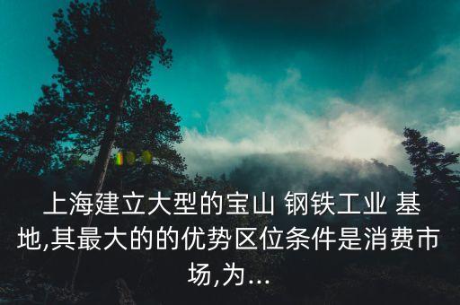  上海建立大型的寶山 鋼鐵工業(yè) 基地,其最大的的優(yōu)勢區(qū)位條件是消費(fèi)市場,為...